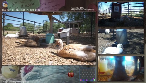 Twitch clip of Meringue
