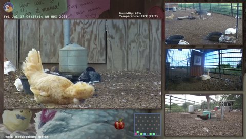 Twitch clip of Moxie