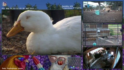Twitch clip of Icee