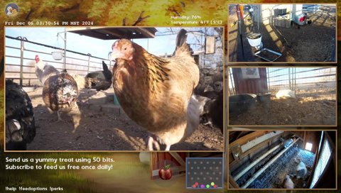Twitch clip of Miss Flufferbuns