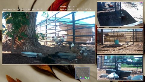 Twitch clip of Brownie
