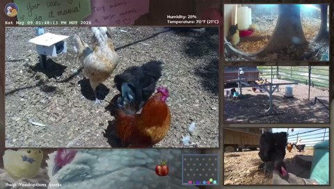 Twitch clip of Miss Flufferbuns