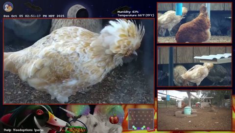 Twitch clip of Moxie