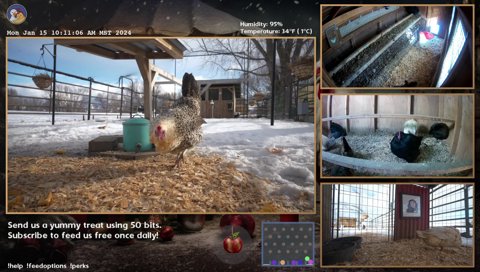 Twitch clip of Buttercup